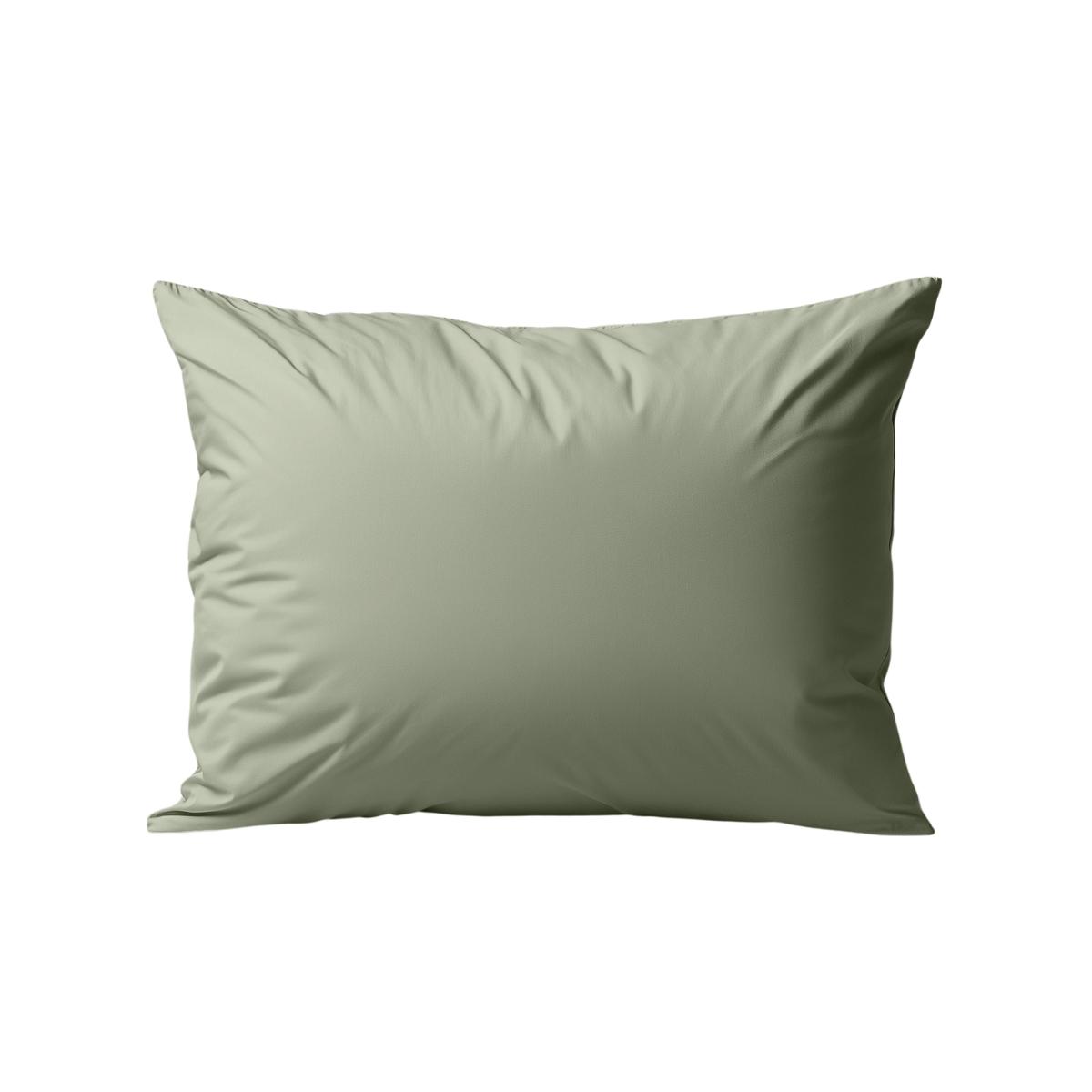 Packshot van Zelesta Premiumbed Kussensloop Set van 2 - Olive & Mint