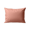 Packshot van Zelesta Premiumbed Kussensloop Set van 2 - Salmon & Peach