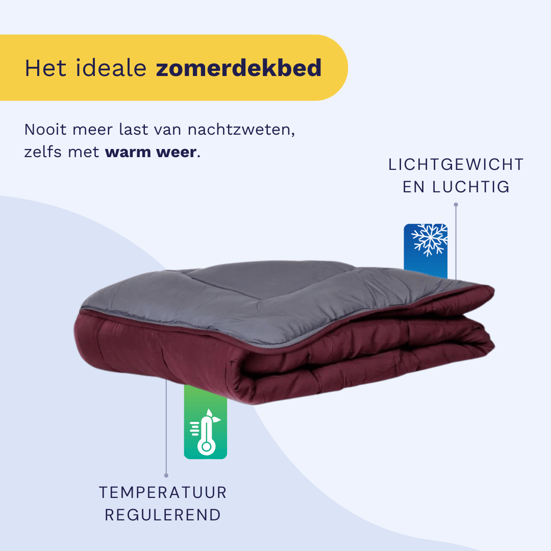 Zelesta Easybed Light - Paars & Antraciet