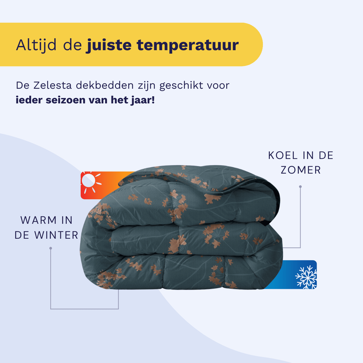 Zelesta Royalbed - Majestic-Zelesta.nl