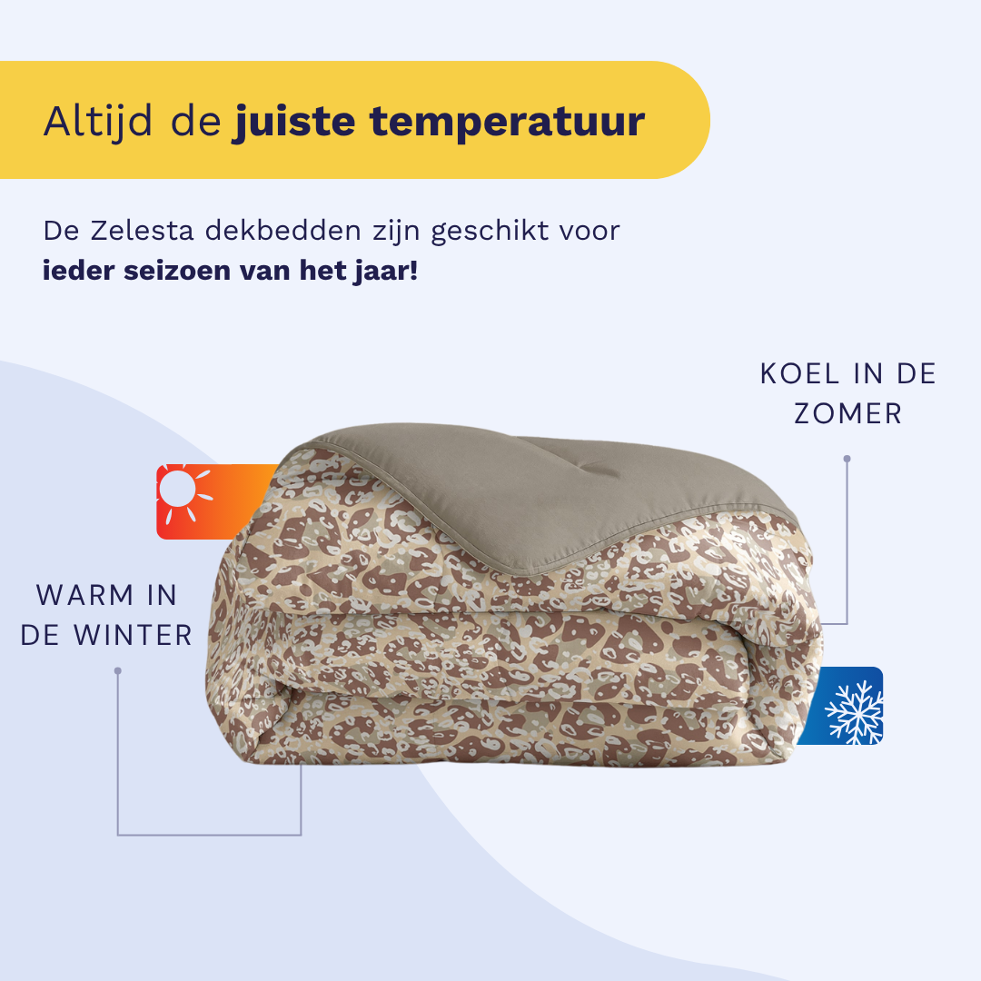 Zelesta Royalbed - Sand Panter-Zelesta.nl