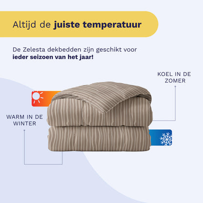Zelesta Royalbed Katoen - Brown Stripes-Zelesta.nl