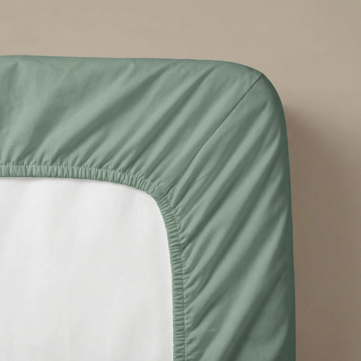 Zelesta Special Cooling Serene Hoeslaken - Saliegroen