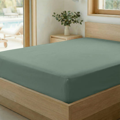 Zelesta Special Cooling Serene Hoeslaken - Saliegroen
