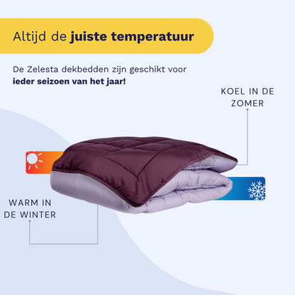 Zelesta Easybed - Paars & Lila